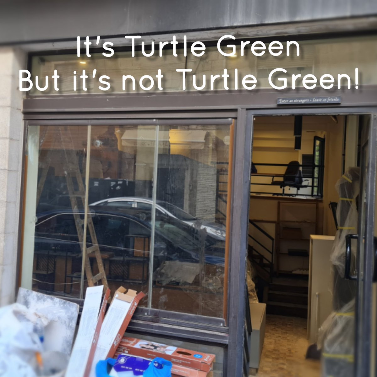 Turtle Green tweet media