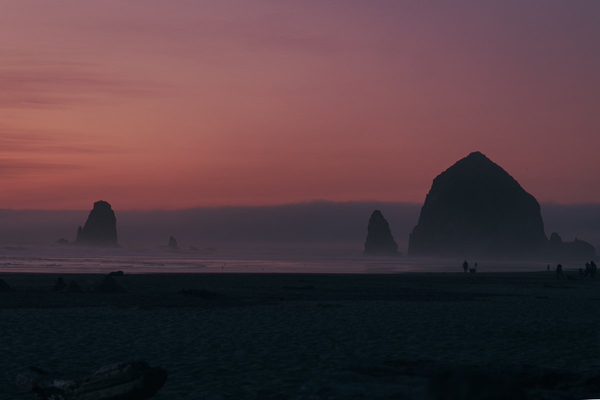 CBHallmark's tweet photo. Lost in a pink haze💗 https://t.co/DqObS2G8At