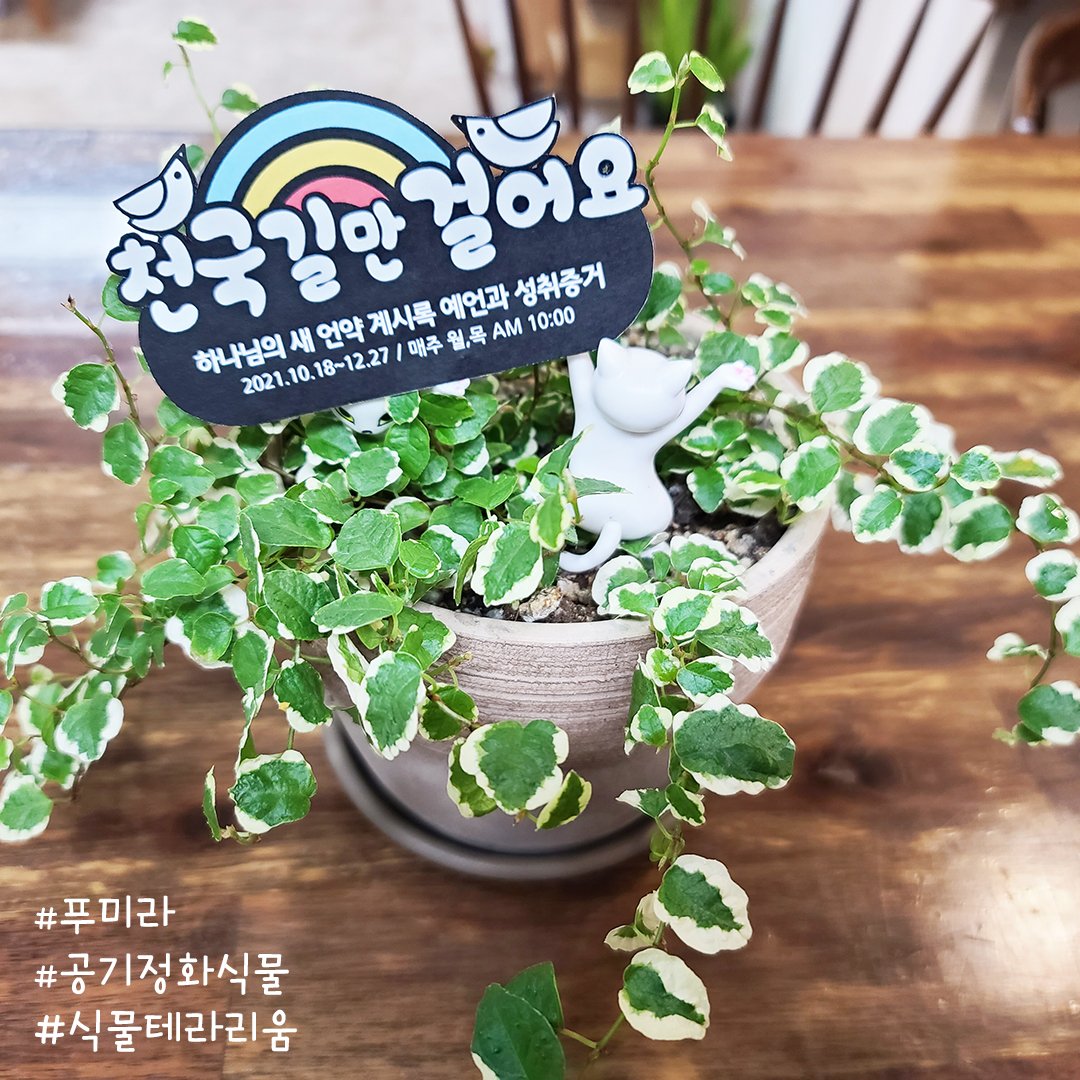 📶 요한계시록 17장 [하나님의 새 언약 계시록 예언과 성취 증거]

🎦 youtu.be/00ZTzAhGq-M

✅ 강의 범위 : 요한계시록 17장
✅ 일시 : 2021. 12. 06. (월) AM 10:00 KST(GMT +9) 공개
✅ 무료 온라인 성경교육 문의
☞ bit.ly/scjbiblestudy

#마지막나팔소리 #신천지 #온라인세미나 #전세계