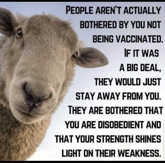 MistyPatriot's tweet photo. @JuJuSkier @Drealstudmuffin @BearsProtect @tuckersright @MikeCompton @TBruceTrp773 @RestartMIGAs @ShimonPiamenta @judytgolf @BB_Scats @13Heroes @JoeBoss1020 @Momof8Melanie @SmartmanAZ @invincible_91 @GraceSa76148532 @RatherBFishing4 @tomdolanjr @taxesuck 💯 @MistyPatriot
IFB Thanks @JuJuSkier for including me. 🇺🇸
#AgainstMandates https://t.co/SOTUXFrz8d