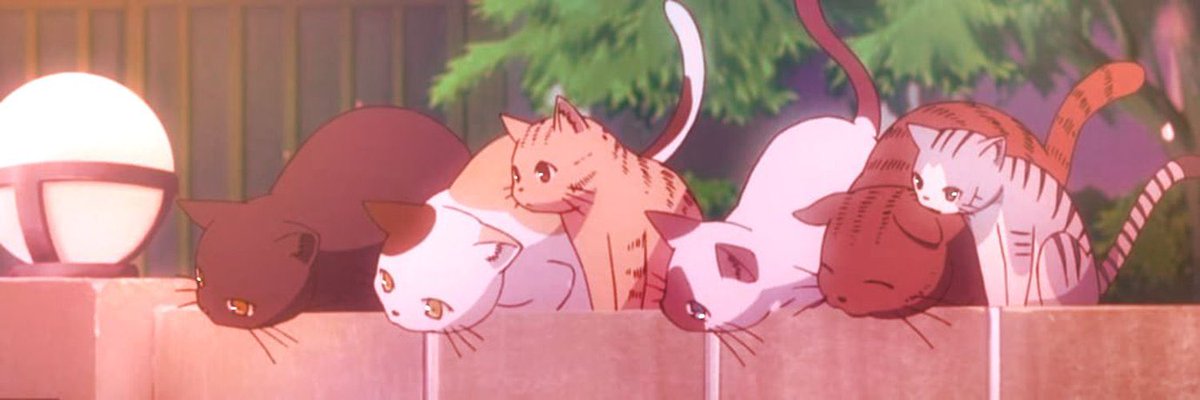 __Uhhh__'s tweet photo. Mornin’ everybody, no time for a chit chat. But have zome catz. :D https://t.co/2gOBielnOC