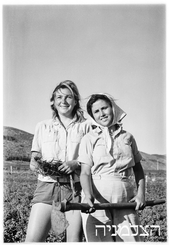 صورة تعود إلى عام 1947 لامرأتين يهوديتين تعملان في قرية تعاونية (كيبوتس).
@NLIsrael من أرشيف مكتبة…