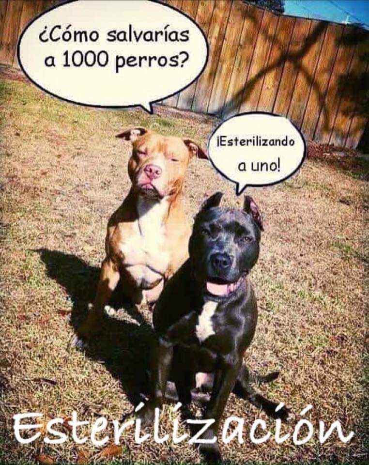 nydiacervera tweet picture