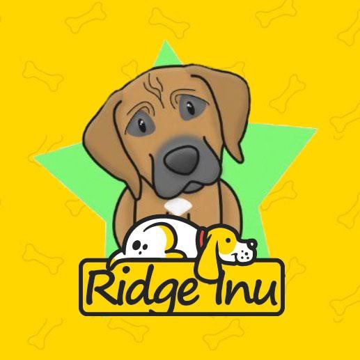 RidgeSpace's tweet photo. @__TheRidge @nayibbukele @Cointelegraph @Benzinga @CoinDesk @crypto @coinspot https://t.co/vhjHvoGqq5