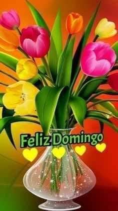 camero_lemus's tweet photo. Feliz domingo para todis mis amigos y seguidores de Twitter. Pásenlo bien en familia. #Cuba #ValoresTeam #PatriaYRevolución #LaurelesYOlivos https://t.co/iVlIk8NzQP