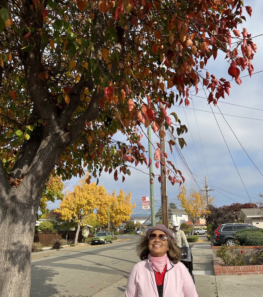 chernorris's tweet photo. #Goodmorning and happy #Sunday everyone thinking A Happy Day is just a SMILE AWAY ツ #CHOOSEPOSITIVETHINKING 🍁🍂. #Morningwalk Take time to notice & appreciate the beauty around you ♥️☀️🌺 🌊
May peace, joy, love and bright and beautiful day 🍁☀️🧡🍁#morningmotivation https://t.co/OdIHXLIL3G