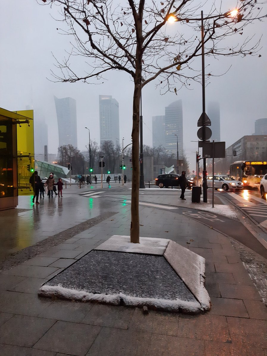 eugeneefimovall's tweet photo. Вот так в центре Варшавы корни деревьев защищают от реагентов, которыми скоро будут посыпать дороги. https://t.co/pHTdWseHm1