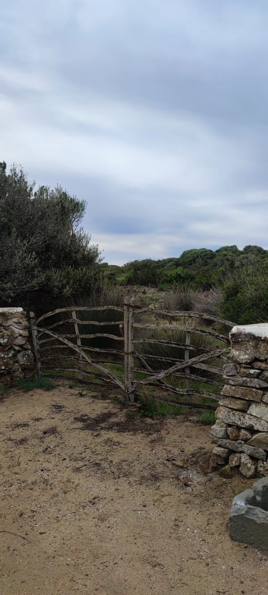 rebeeemm's tweet photo. 3/7
En aquesta ocasió vam començar per s'Albufera des Grau, reserva de la Biosfera, passant per sa platja des Grau i Cala en Vidrier. Vam haver de tornar ja que es va posar a ploure 🌧️🌧️
@EFsaludable_UIB #22121_uib https://t.co/zvE2w4fR88