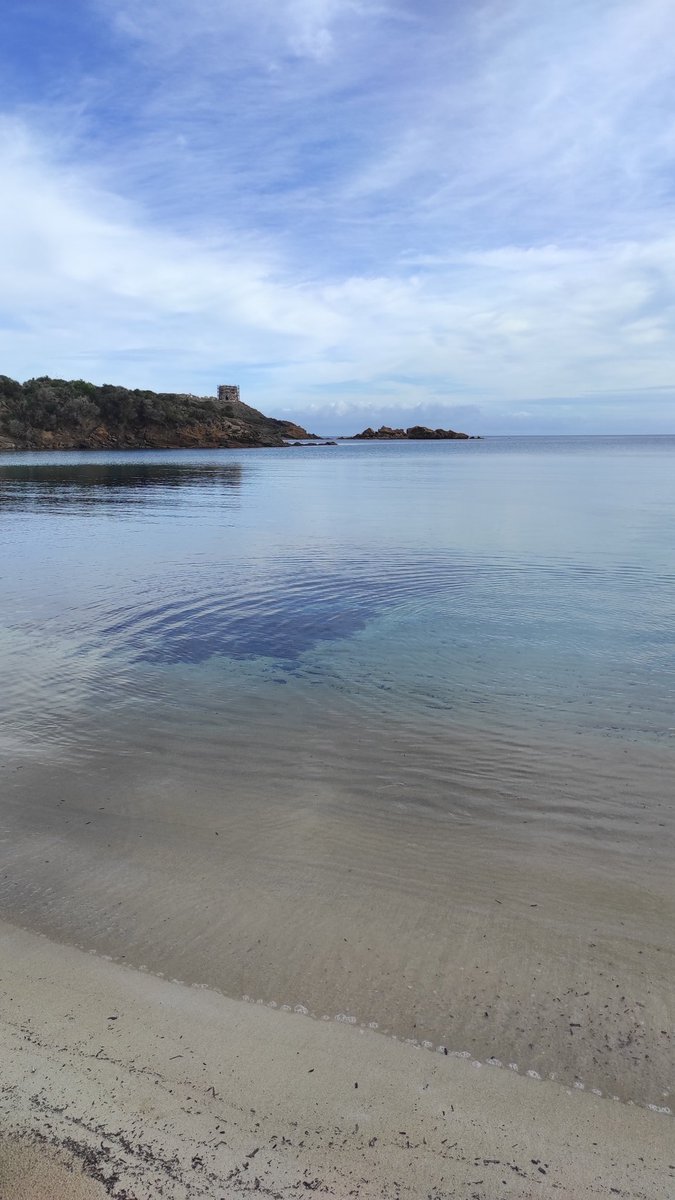 rebeeemm's tweet photo. 3/7
En aquesta ocasió vam començar per s'Albufera des Grau, reserva de la Biosfera, passant per sa platja des Grau i Cala en Vidrier. Vam haver de tornar ja que es va posar a ploure 🌧️🌧️
@EFsaludable_UIB #22121_uib https://t.co/zvE2w4fR88
