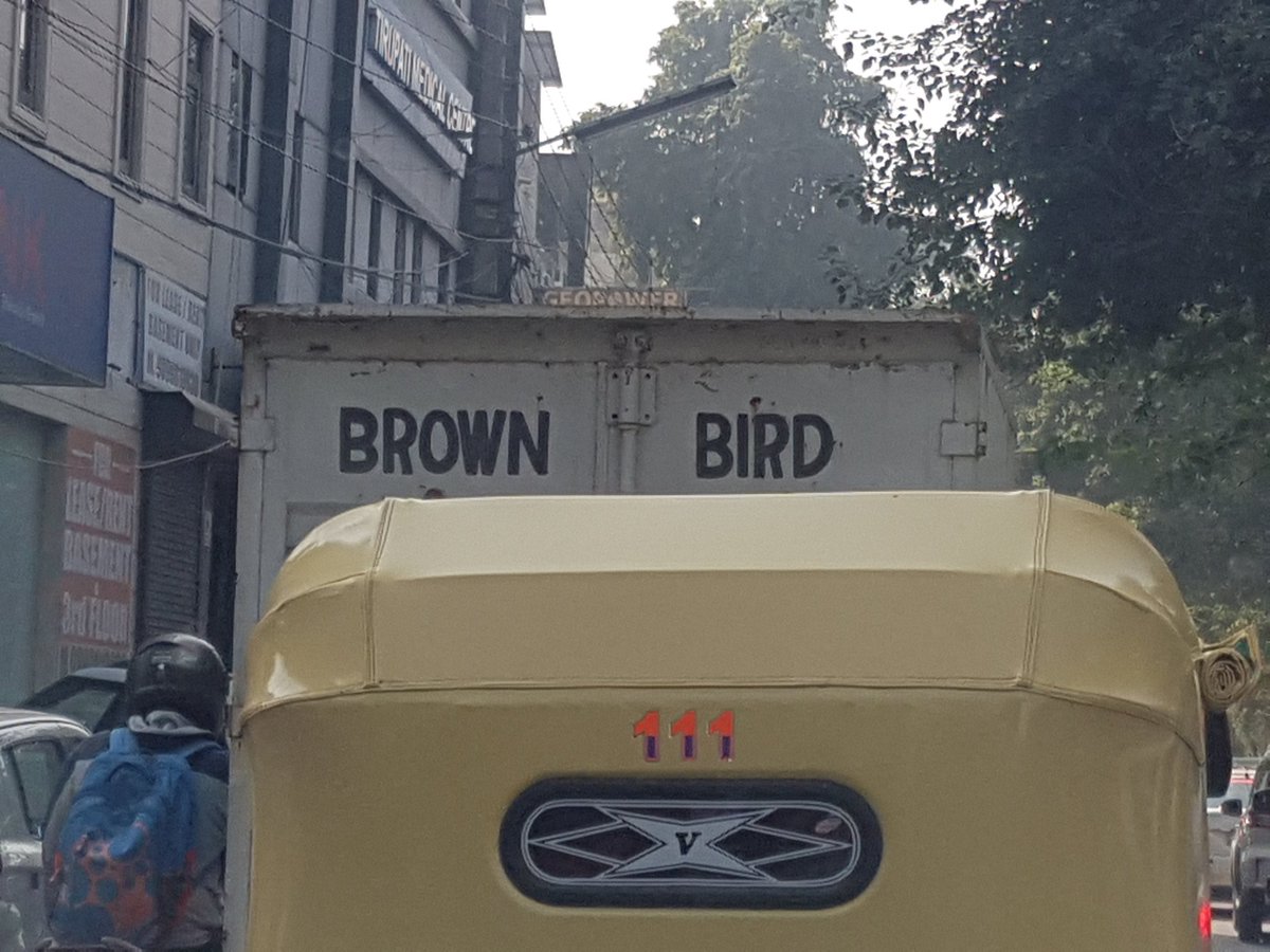 Bhrigzz's tweet photo. Late entry for #AnythingButBirds by #IndiAves https://t.co/UGFdugWmS4
