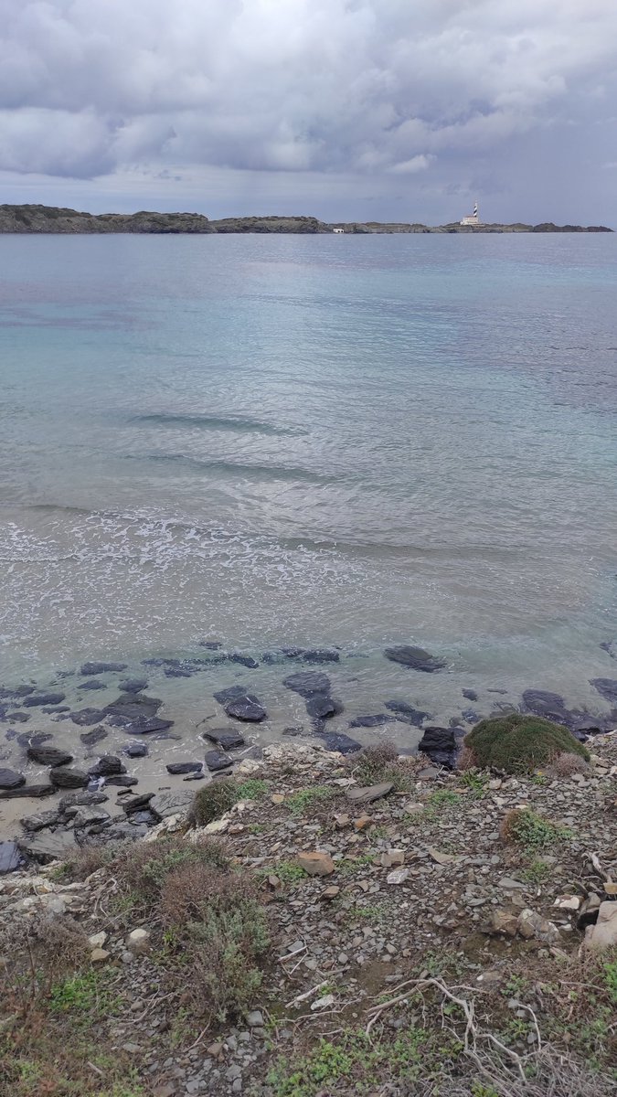 rebeeemm's tweet photo. 5/7
Tot i que estava molt ennovulat, vam decidir partir a fer una excursió per Favàritx 🌫️😶‍🌫️ Vam arribar fins Cala Morella Nou i vam tenir molt sort ja que just vam entrar al cotxe va començar la tempesta 😱🍀 https://t.co/gB1oSRNnnp