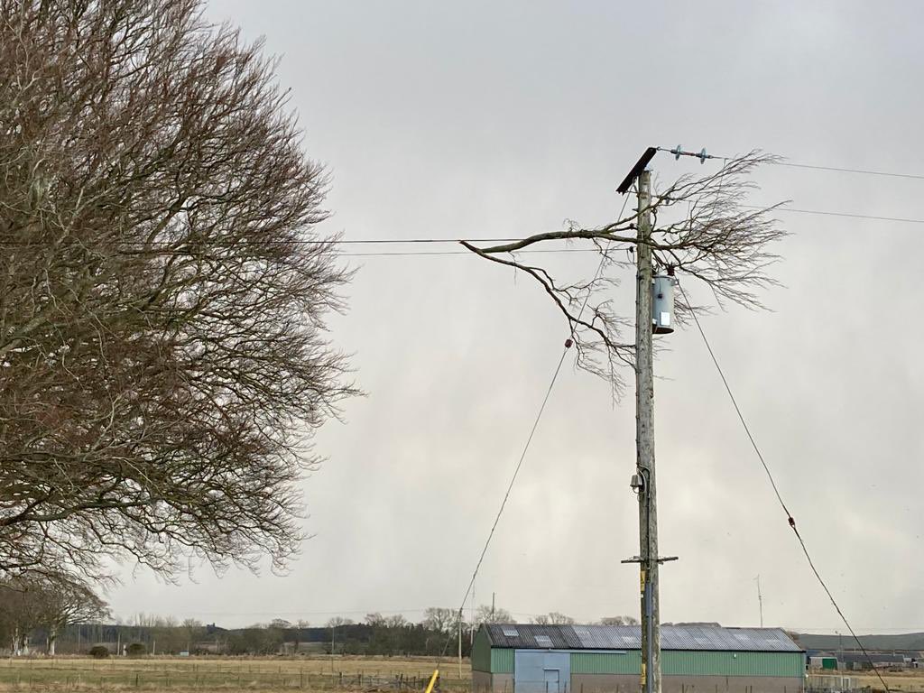 selectscotland's tweet photo. The bad news: the significant damage to trees around the country by #StormArwen. Pics from the team in Aberdeenshire, Perthshire and Coldstream. The good news: we’ve now got over 300 trees in our @treesforlifeuk Select Scotland grove here: https://t.co/yXbLxbjejV.🌳 https://t.co/WbY6bNVmLS