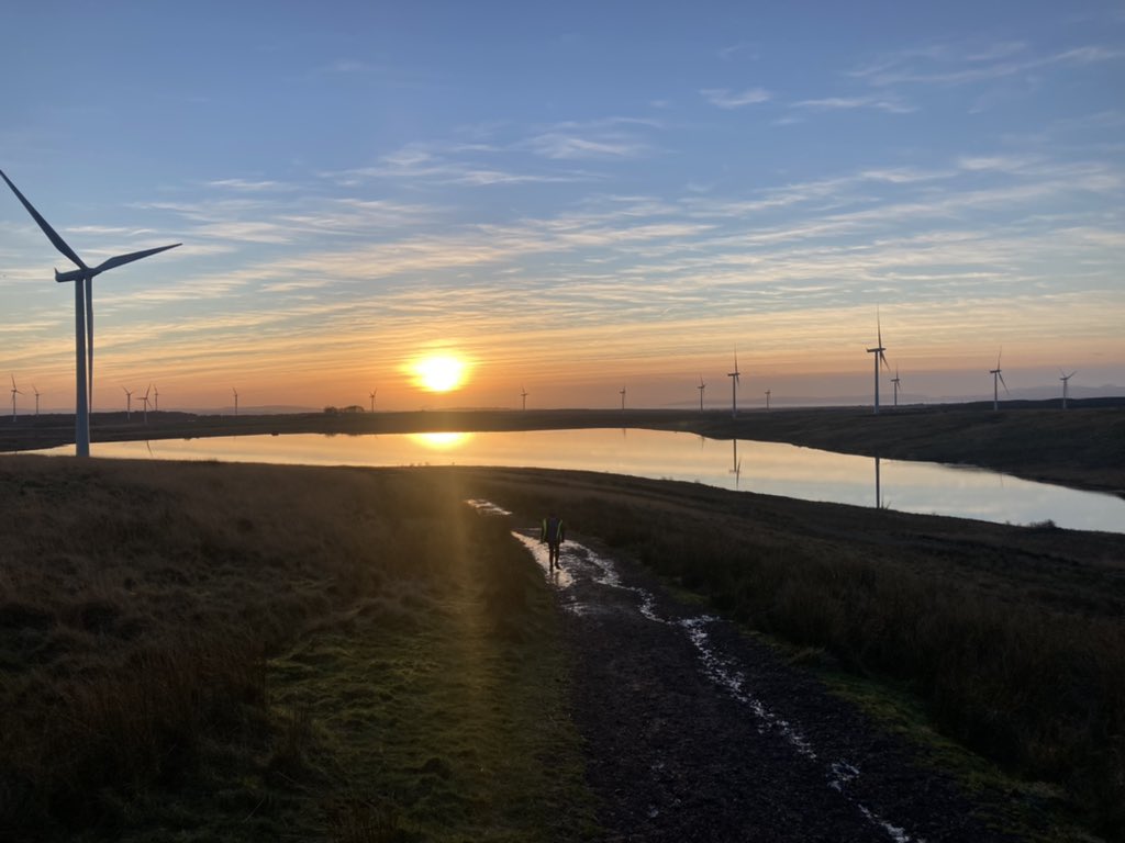 MoragMof's tweet photo. New running partner today 🏃‍♂️🤩 🌞 https://t.co/gNHUjMJAO6