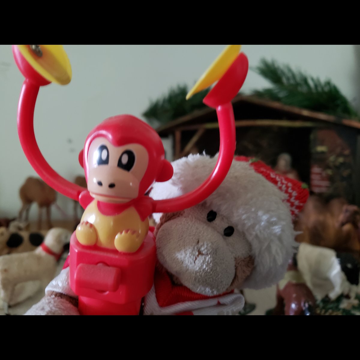 TravelingMocha's tweet photo. Mocha on the Shelf day 5: Adding a monkey to Momma's nativity! #MonkeyBusiness 🗓️ 🎄 #MochaOnTheShelf #MochaOnTheShelf2021 #HelpfulMonkey #Christmas #Yule #SeasonsGreetings #Holidays #HappyHolidays #nativity #cymbals #LittlePercussionMonkey #Dec5 #Dec05 #Day5 #Day05 https://t.co/3jd41SsjSS