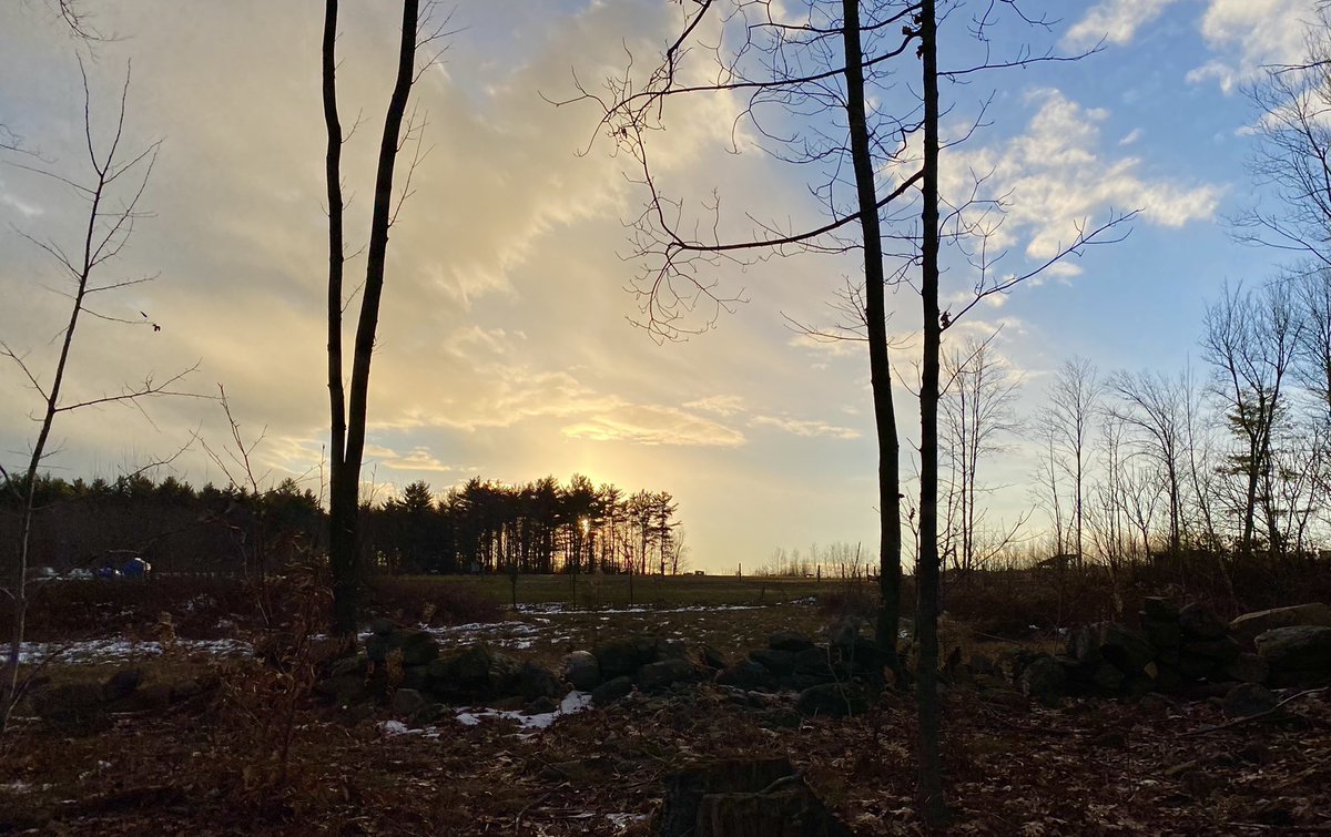 RoarLoudTravel's tweet photo. Yesterday we caught this sunset near our land.. I’ll share what we were doing when we saw it soon. Any guesses?
#SundaySunsets #guessingtime
@MadHattersNYC @_sundaysunsets_ https://t.co/G8WvY5GiEP