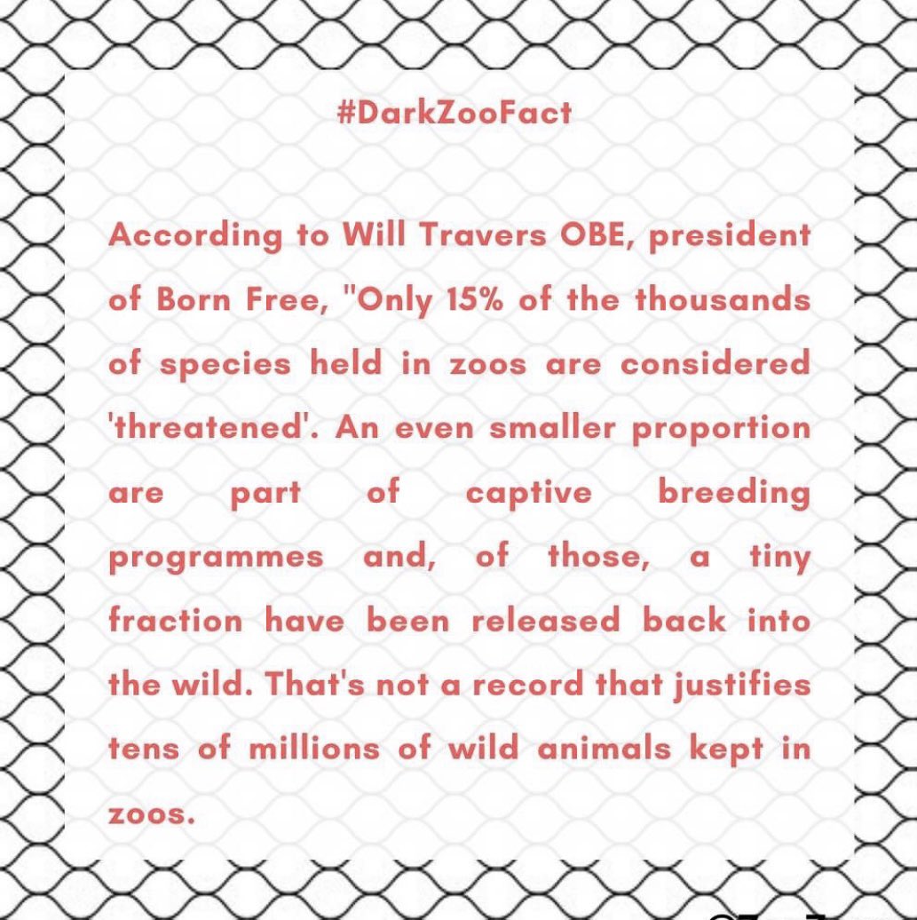youthforanimals's tweet photo. :
⛓🅓🅐🅡🅚 🅩🅞🅞 🅕🅐🅒🅣🅢⛓
#banzoo #captivitykills #openthecages #closezoos #conservation #freethewild #wildlife #freecaptiveelephants
#FreeShankarDelhiZoo ⛓🐘⛓ https://t.co/sygFIEtpOw