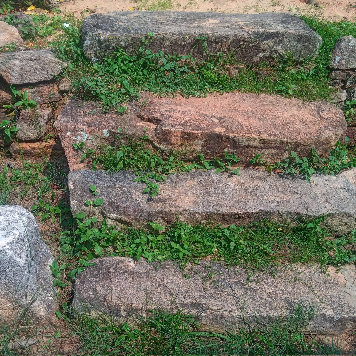 Pubudu94's tweet photo. #SriLanka 
#heritage 
#mahaelagamuwa https://t.co/HeMMLrMLuc
