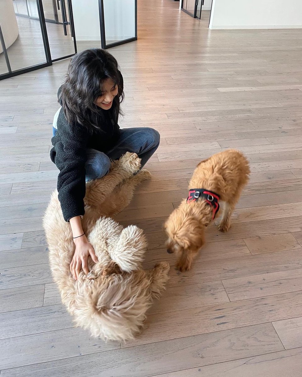 hoyeonsite's tweet photo. pls hoyeon date me https://t.co/SkNMqlfSSb