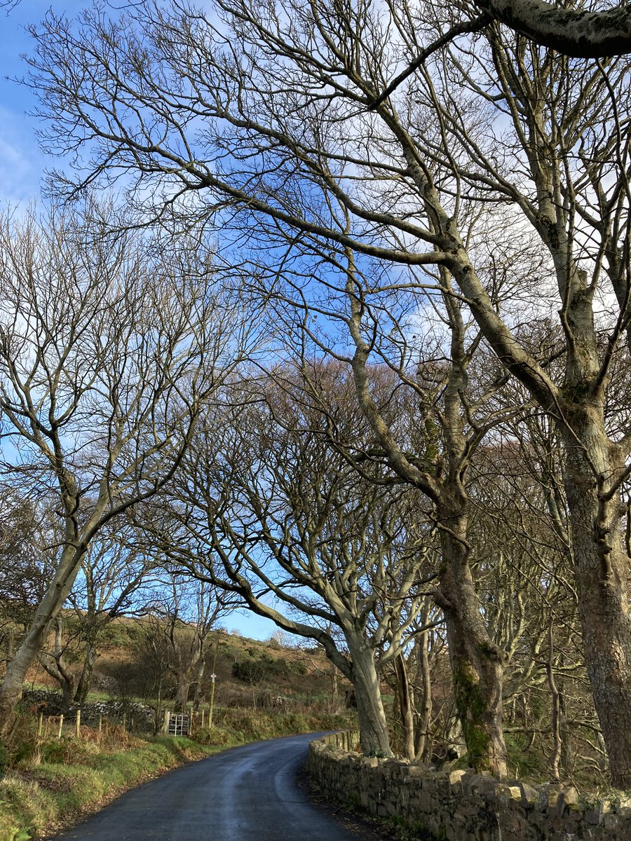 EpiJackie's tweet photo. Felt a bit cobwebby.
Not anymore!
#Tullagh #Inishowen #Donegal https://t.co/NMSiXwhtEv