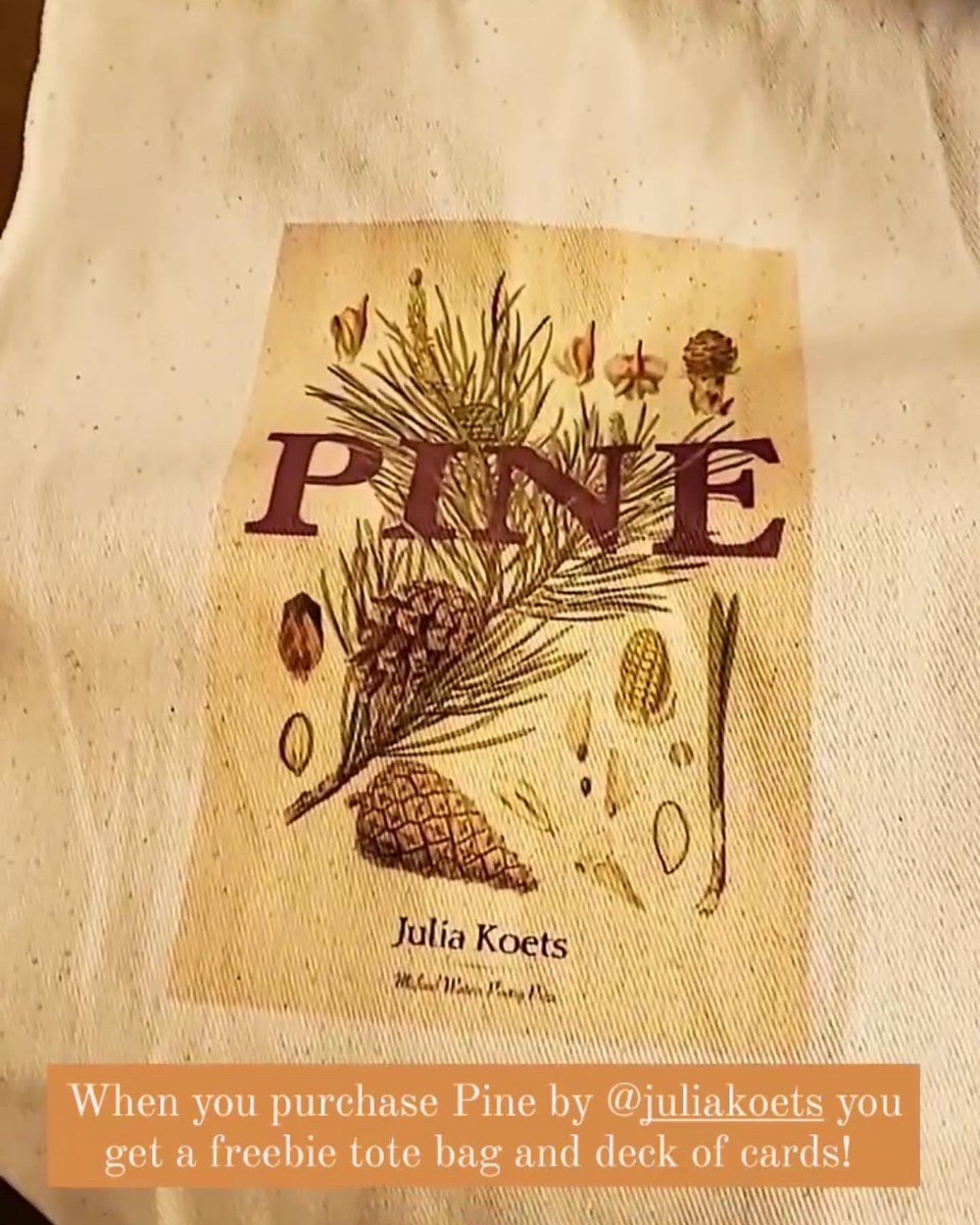 Julia Koets tweet media