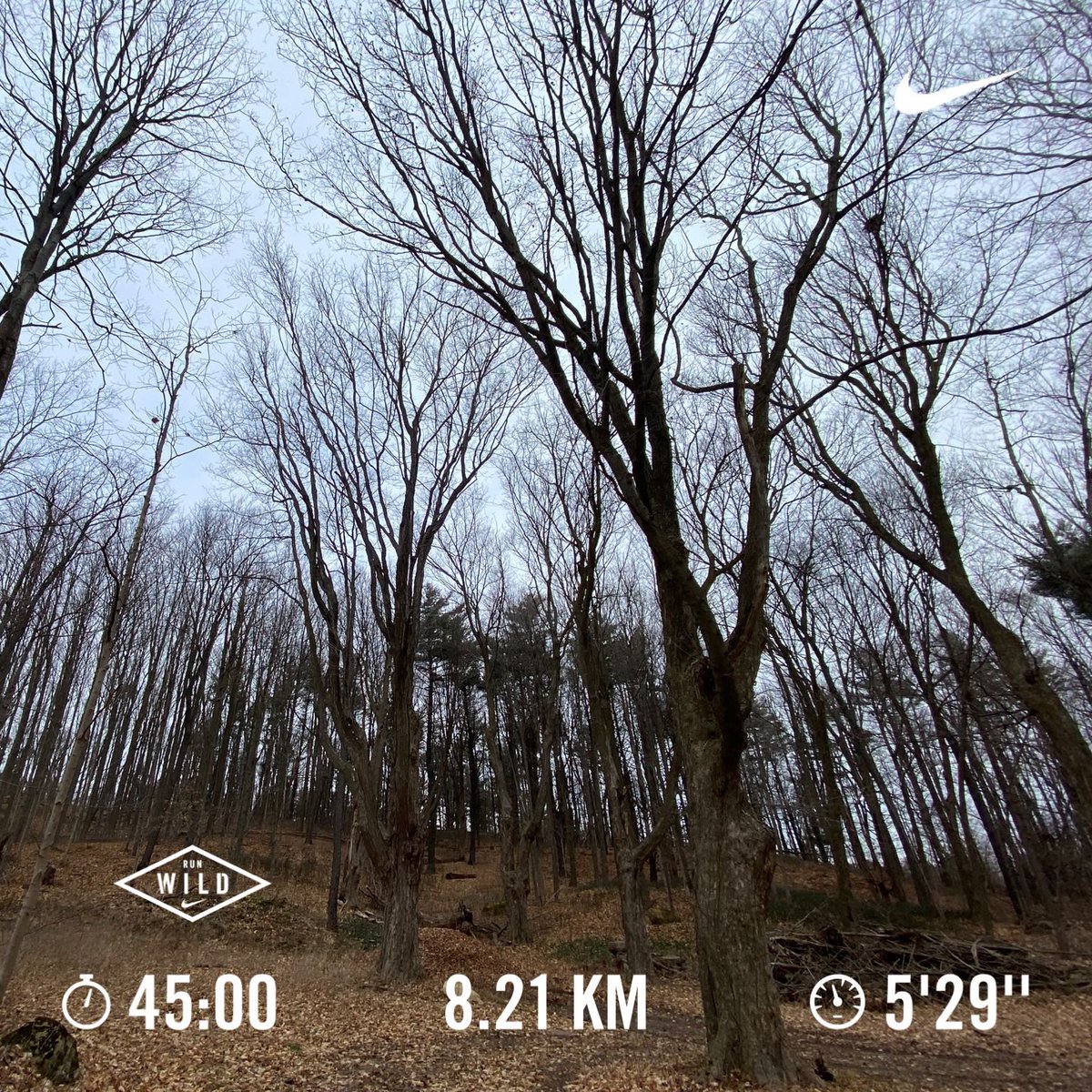 stanomator's tweet image. #nrc #canadianrunning #justdoit