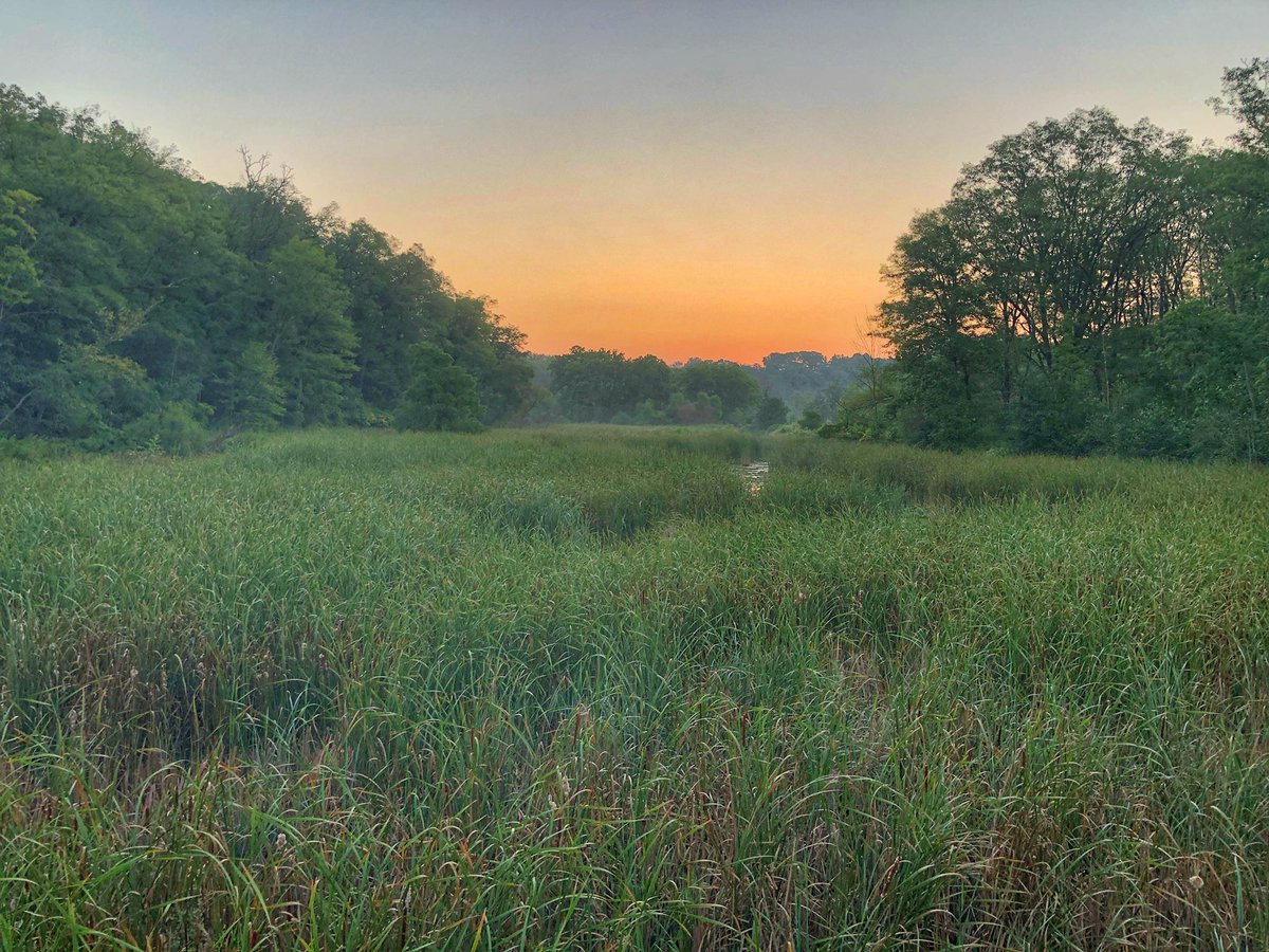 madmal99's tweet photo. A banger of a sunrise from earlier this summer #HendrieValleyTrails #BurlingtonOntario #SundaySunsets #guessingtime
@MadHattersNYC @_sundaysunsets_ @RoarLoudTravel https://t.co/dirVA0gEwV