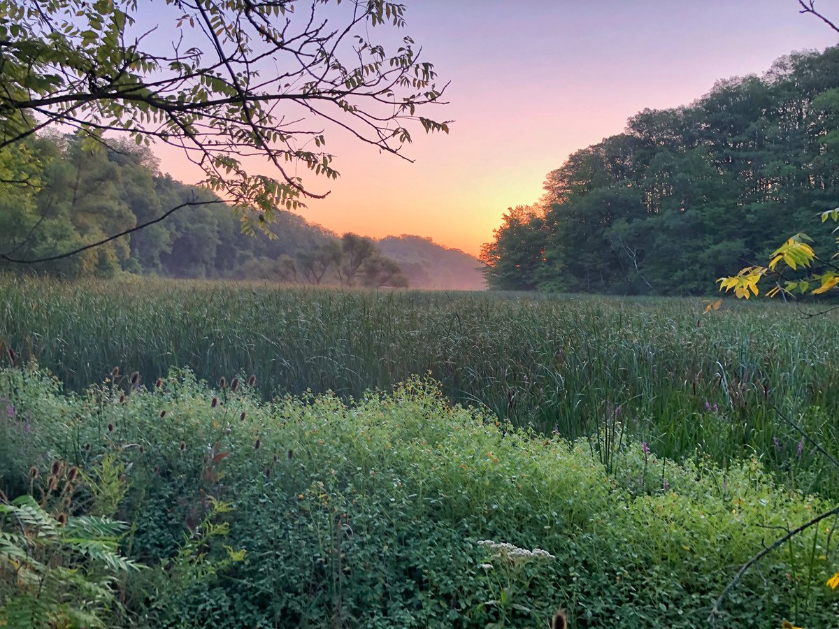 madmal99's tweet photo. A banger of a sunrise from earlier this summer #HendrieValleyTrails #BurlingtonOntario #SundaySunsets #guessingtime
@MadHattersNYC @_sundaysunsets_ @RoarLoudTravel https://t.co/dirVA0gEwV