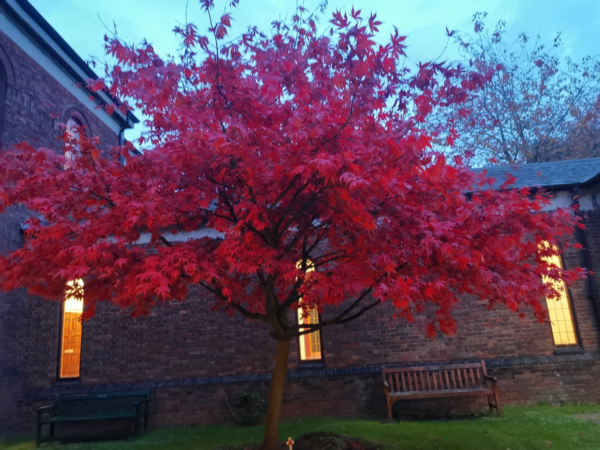 mandyrpearson's tweet photo. @SunderlandUK We saw it last month, just beautiful https://t.co/sxSraqJKzs