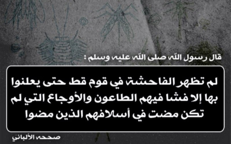 AnassAlShikh's tweet photo. يشهدُ العالَم انتكاسةً صارخةً للفطرة البشرية والأدهى من ذلك أن جميع الوسائل السياسية والإعلامية والرياضية والترفيهية تَسيرُ بخُطىً ثابتةٍ لترسيخ هذه السَّقطة ، وَتالله لو كان ثمةَ نبي بعد نبيِّنا صلى الله عليه وسلم لبعثَه الله عز وجل في هذا العصر

فالثَّبات الثبات يا عبادَ الله ! https://t.co/T0CaOw2duM