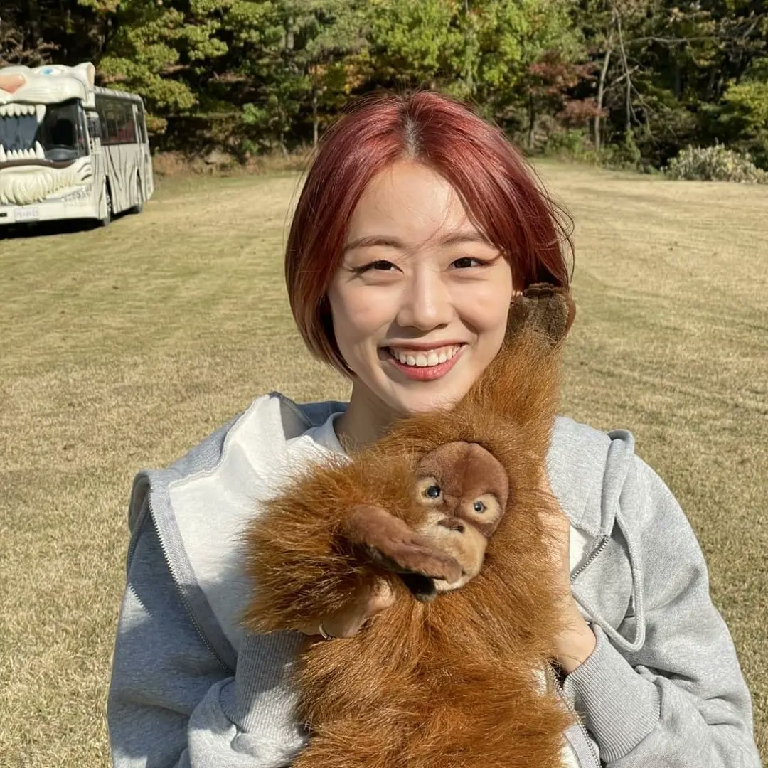 🐈⬛ (@lVElFY) | Twitter