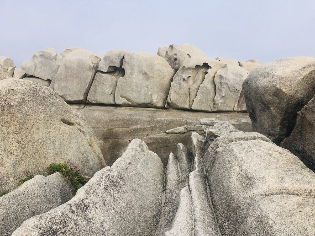 Arenariacoord's tweet photo. 𝗔𝗖𝗔𝗡𝗧𝗜𝗟𝗔𝗗𝗢𝗦 𝗗𝗘 𝗣𝗔𝗣𝗘𝗟 en Xove…
💙 Formaciones de 40m de alto, de rocas graníticas esculpidas con mimo por el viento y el oleaje💙

Quedarte pasmando ahí sentado mirando el Cantábrico es una opción estupenda! #recomendada #desconection https://t.co/xkTeXYBgVN