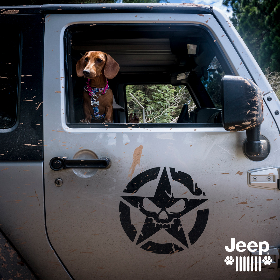 ManadaJeep's tweet photo. Juaquin está disfrutando de un buen viaje con mucho barro y emociones extremas. 🐾😎
#Jeep #JeepColombia #ManadaJeep #JeepPets #Dog #Perro #Mud https://t.co/ry6WwyiwSQ