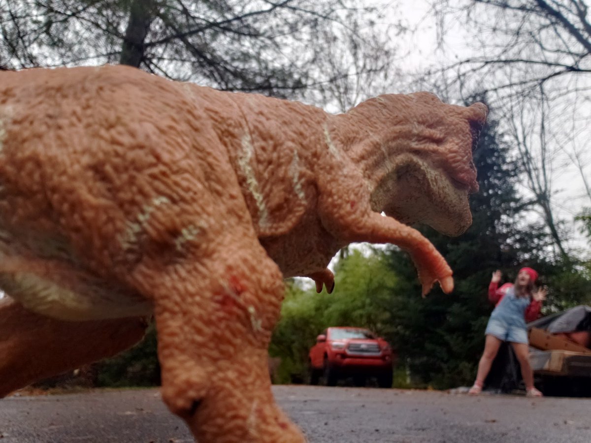 CholkasA's tweet photo. Toy Photography by NRMS students- forced perspective, lighting and nature @NREVSD @NRMiddleSchool https://t.co/txiHbri4wB