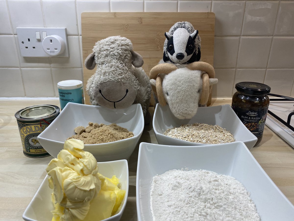 BellaandBarty's tweet photo. Hello everyone! Welcome to a special episode of #ChristmaswithBella featuring the lovely @Truffles_Sheep of #MasterChefSheep fame, and an easy giant mincemeat biscuit recipe! 🎄🦡🎄🐑 https://t.co/g9kTMoRKTa