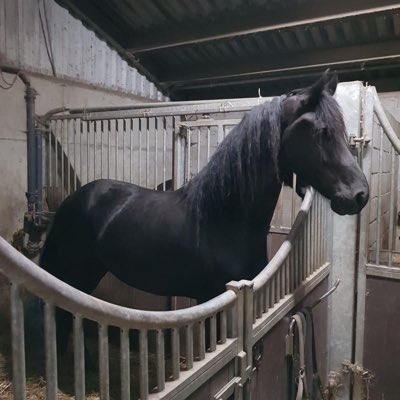 ProOVP's tweet image. #nieuweprofielfoto