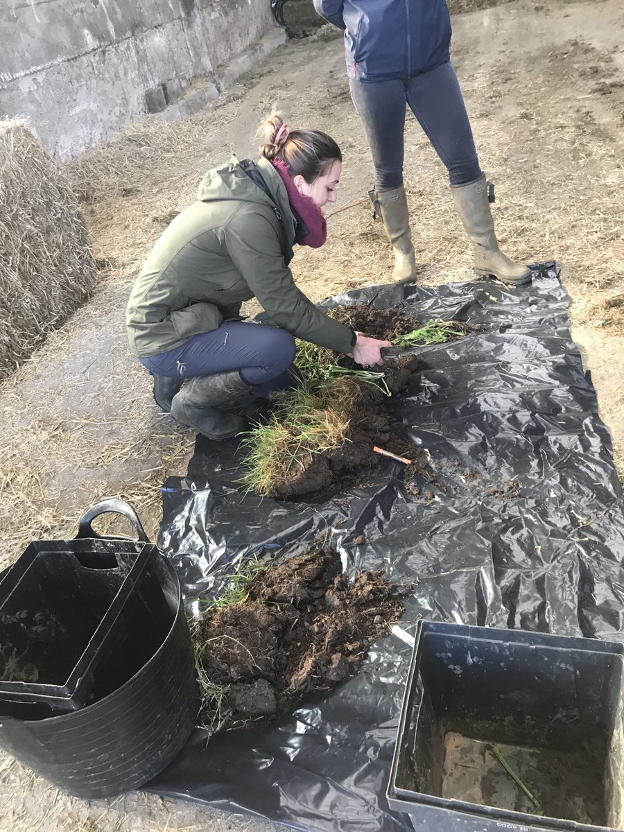 World Soils Day and a huge thank you to ⁦<a href="/IFarmers/">Innovative Farmers</a>⁩ ⁦<a href="/Soil_lives/">RachelMarshall</a>⁩ ⁦@Hutchinsons_Ag⁩ helping us all learn more about our soils and how to improve them.