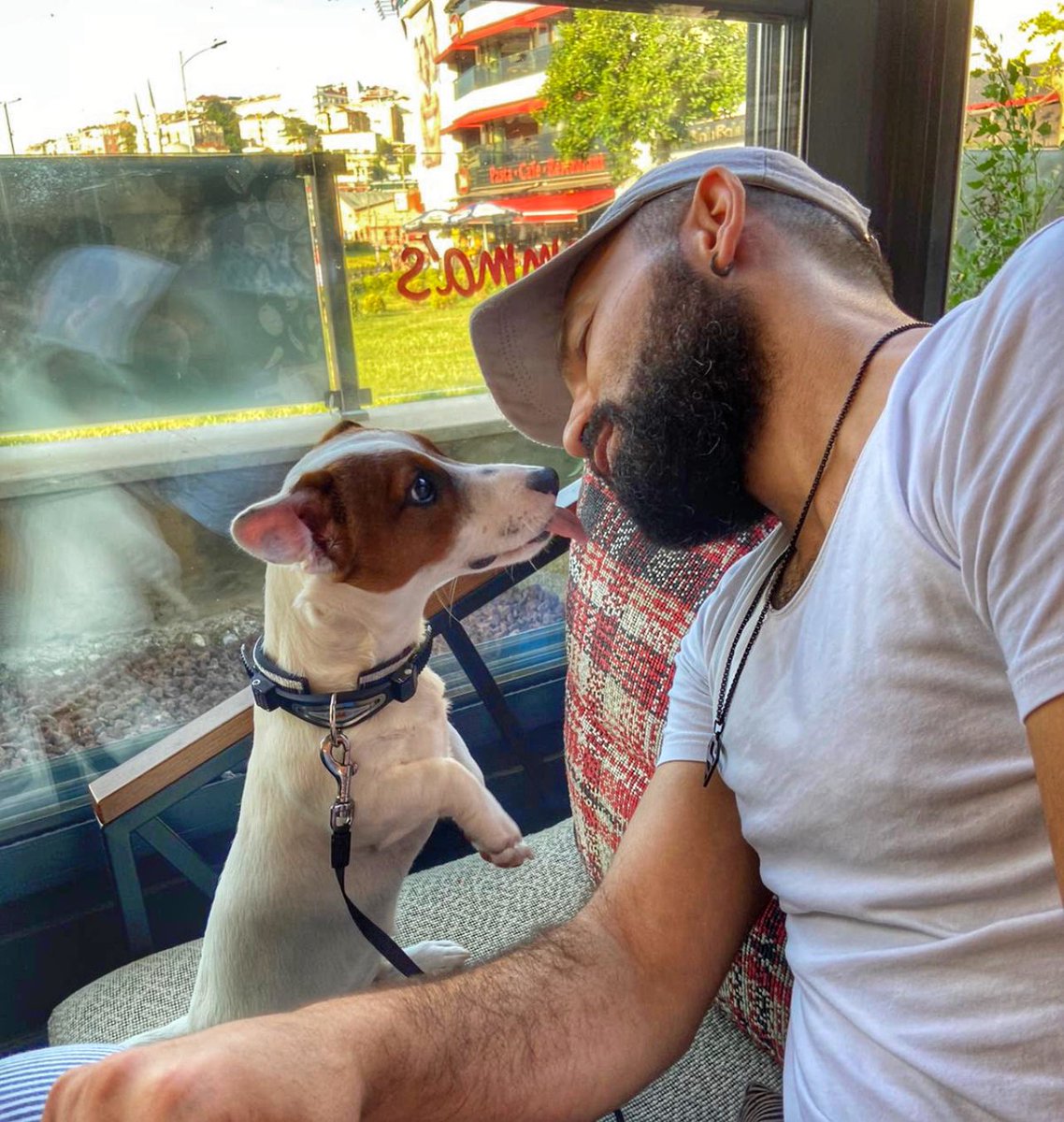ercancakiroglu's tweet photo. SHERLOCK 2️⃣ YAŞINDA 🎂🐶🎂 https://t.co/qOaBN2VCEe