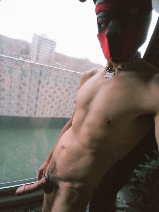 1 pic. Gettin cold out there. 
#gaypup #neoprenepup #nsfw #gayboner #cock #humanpet #puppyplaycommunity