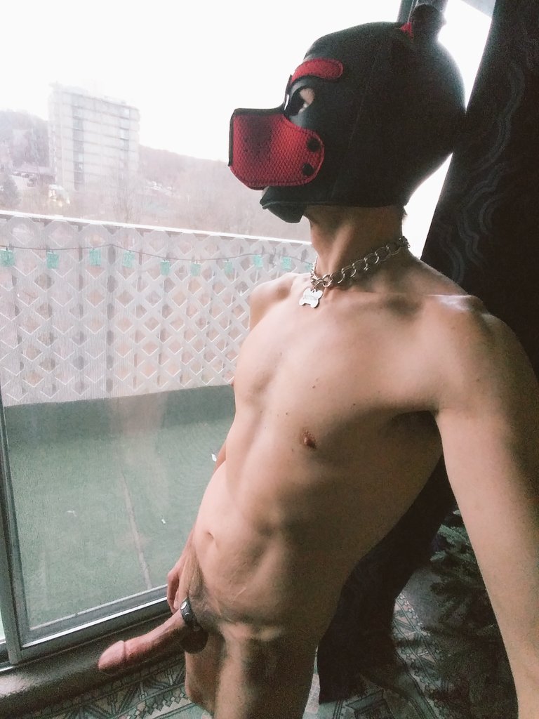 2 pic. Gettin cold out there. 
#gaypup #neoprenepup #nsfw #gayboner #cock #humanpet #puppyplaycommunity