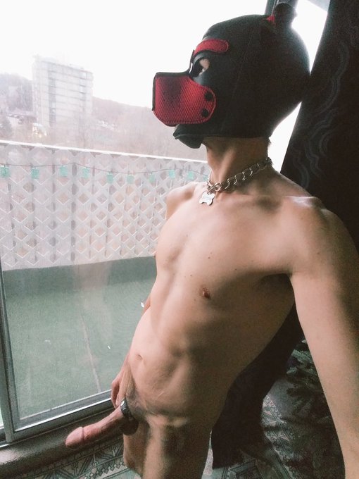 2 pic. Gettin cold out there. 
#gaypup #neoprenepup #nsfw #gayboner #cock #humanpet #puppyplaycommunity