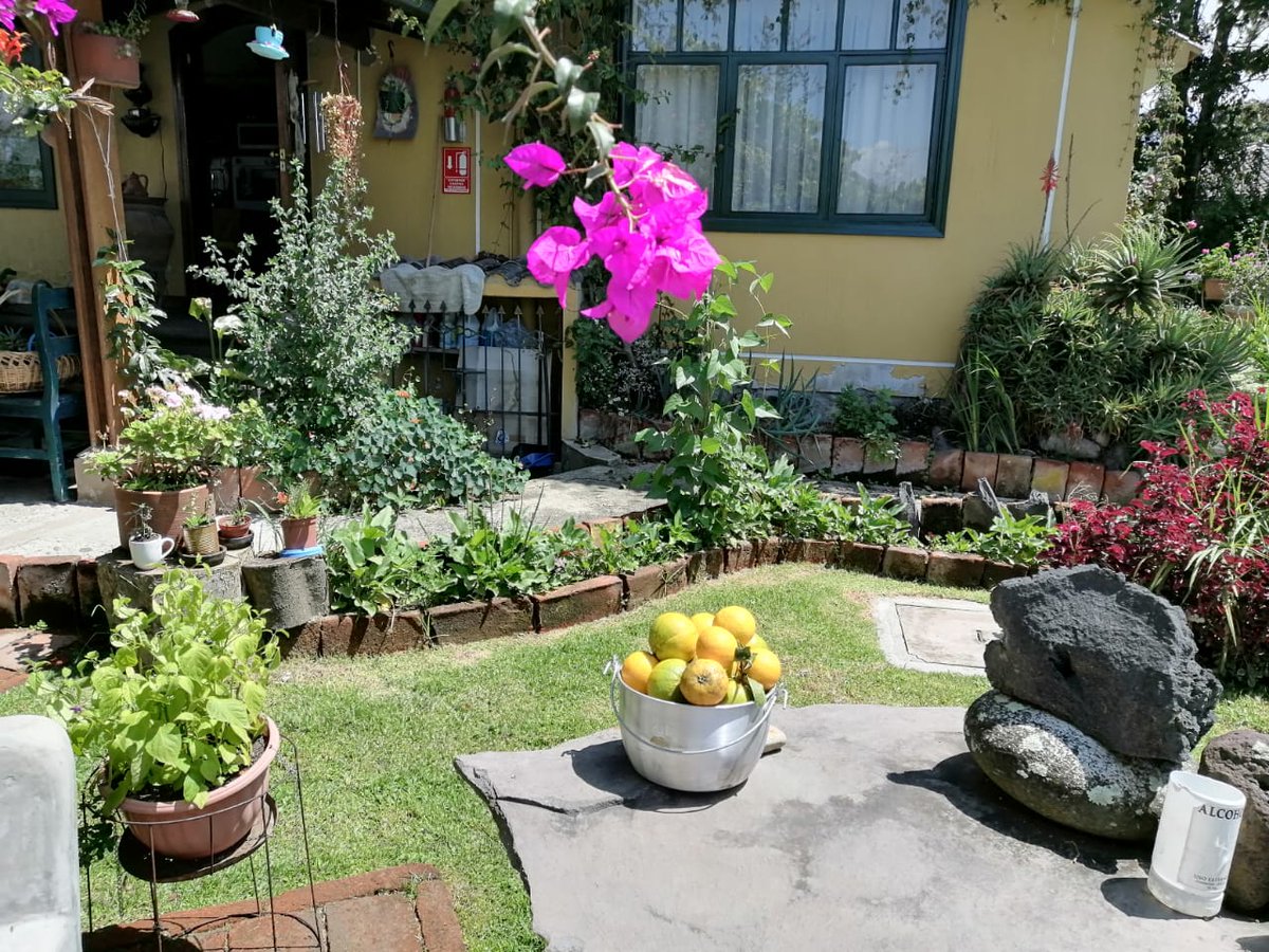 TababelaSaintMa's tweet photo. Viajas? Llegas o vas al aeropuerto de Quito - Ecuador? O sólo quieres recreación espiritual entre bellos jardines? Más que Alojamiento incluido desayuno, es una experiencia de descanso y armonía. No me creas, experiméntalo!
saint.marys@yahoo.es
0987285306 // +34652884743 https://t.co/CLQcl2mDjJ