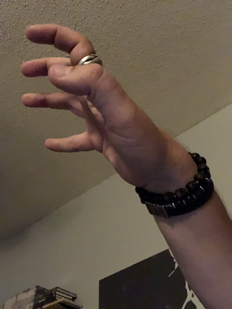 schiekapedia's tweet image. #selfreference