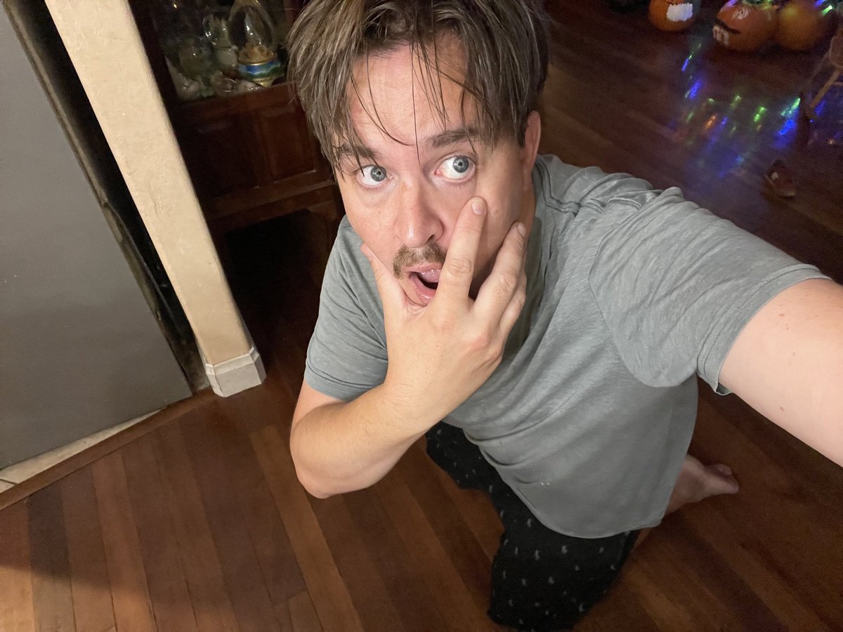 schiekapedia's tweet image. #selfreference