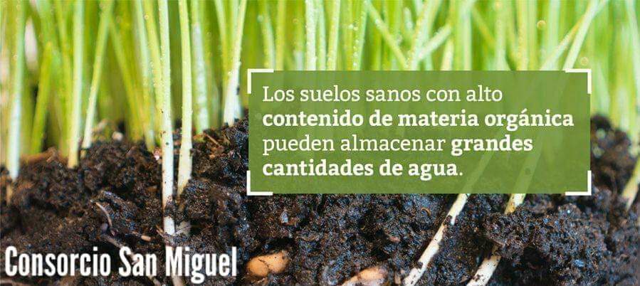 consorcioCSM's tweet photo. #DiaMundialdelsuelo 🌾🌴♻️🌳
Debemos resaltar su importancia como un componente crítico del sistema natural y su contribución vital al bienestar de la #Humanidad. 👦👧👨👴👵👶
Generemos 🤝acciones para su #Preservación y #Restauración
#DesarrolloSostenible ☑️ https://t.co/SeMGCOSZz6