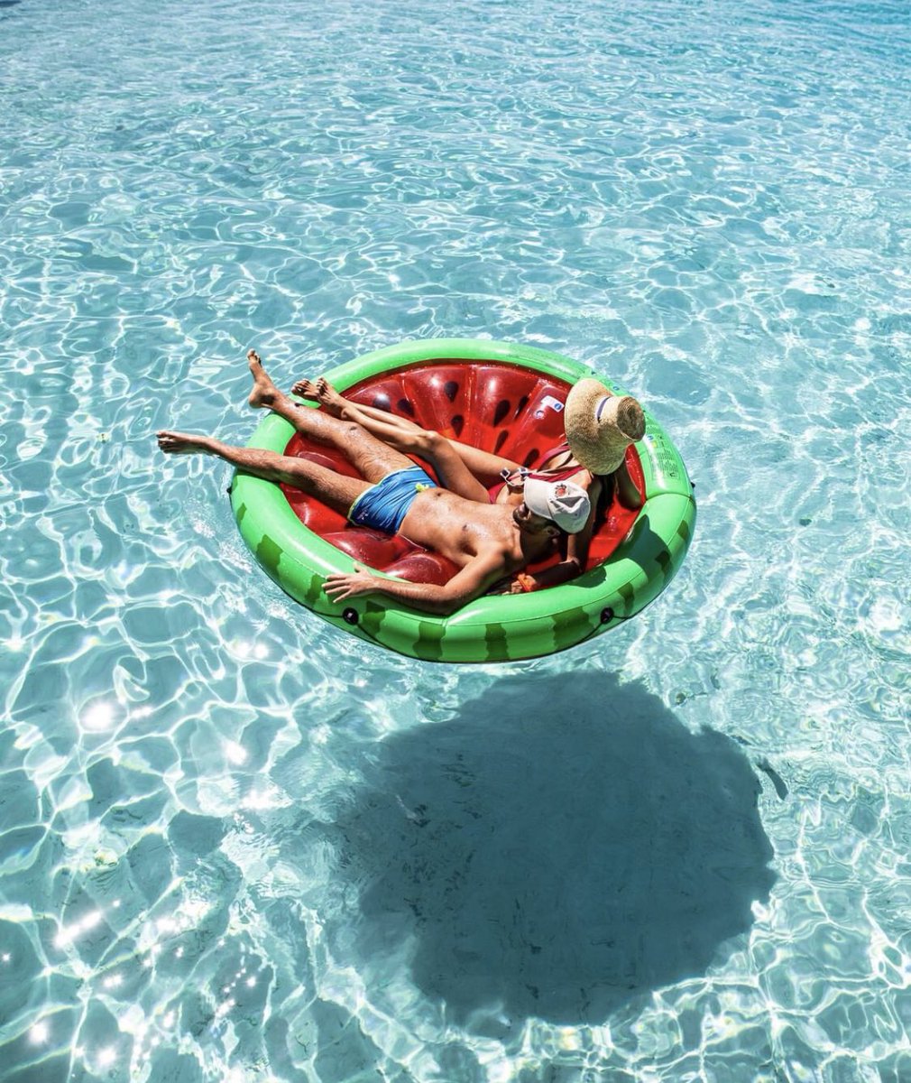 Dragonfly Holidays tweet media