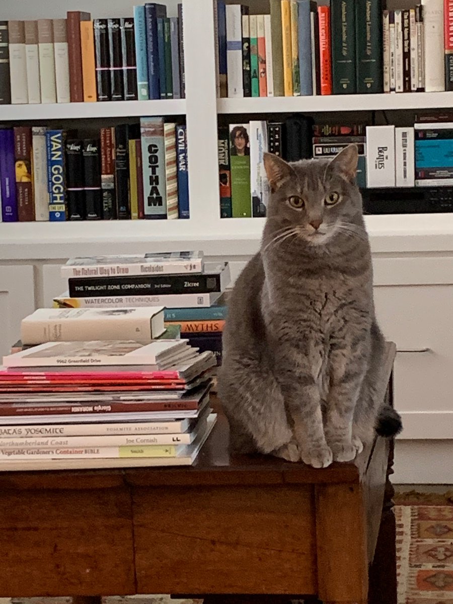 So nice to be out of the hospital and getting back into old routines - like being closely supervised while eating a muffin.   Looking forward to following up with my Dr and getting back to targeted genetic therapy pills.  #Researchmatters #livingwithlungcancer #lcsm <a href="/lcfamerica/">Lung Cancer Foundation of America</a>