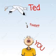 DrewJ85015's tweet photo. @tedcruz @ScottforFlorida @thehill https://t.co/hsblM9JXzB