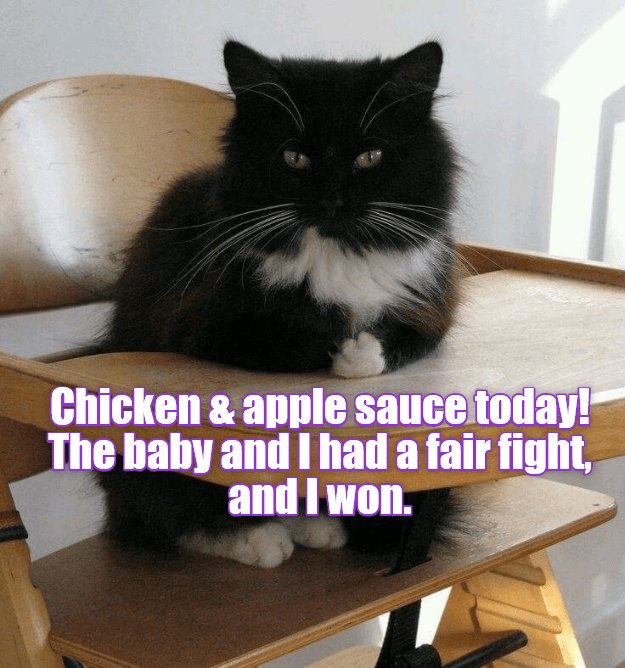 picky_pet tweet picture