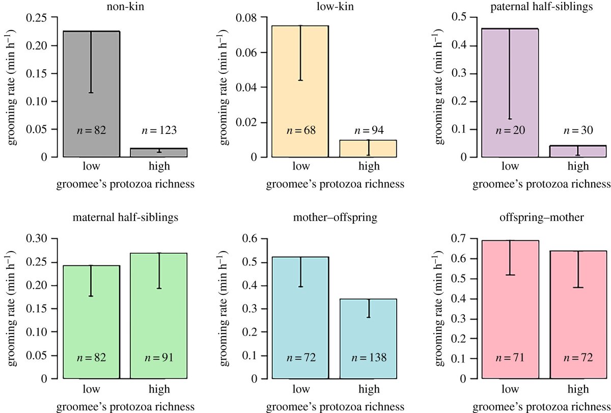RSocPublishing's tweet photo. Unconditional care from close maternal kin in the face of parasites https://t.co/fJyybWTHEd #kinselection #parasitology #socialavoidance #BiologyLetters https://t.co/BFKUM0DTY6