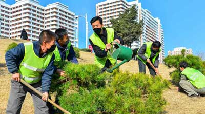 rwinstanleyc's tweet photo. 'This is the scene we can witness everywhere these days. From early morning working people in the capital city go to the street as if prearranged, devoting their sincerity to planting and tending trees...' #NorthKorea #rodong https://t.co/kqDHPiKSe9 https://t.co/j1W2cA2KVg